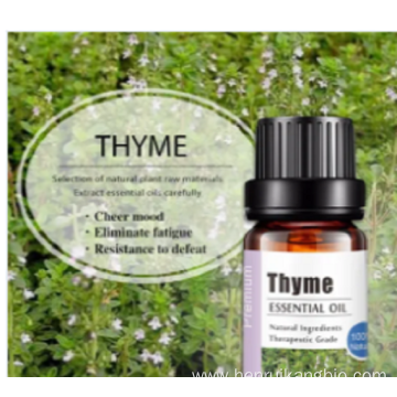 Factory price CAS 8007-46-3 pure Thyme Oil selling